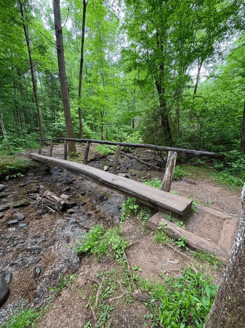 A hand-hewn log footbridge crossing a mountain stream